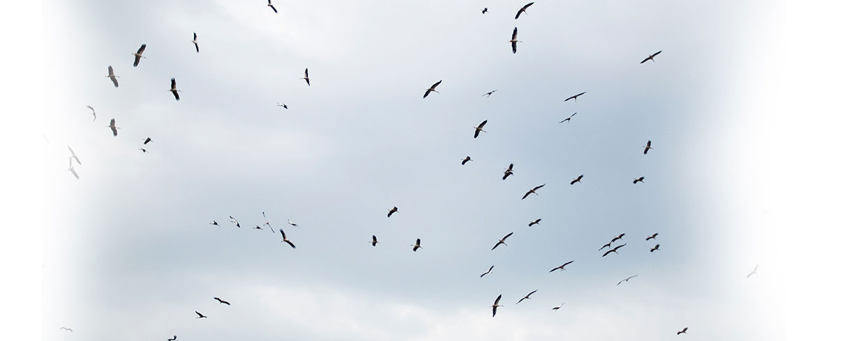 Act of God : êtes-vous assuré contre les catastrophes naturelles?