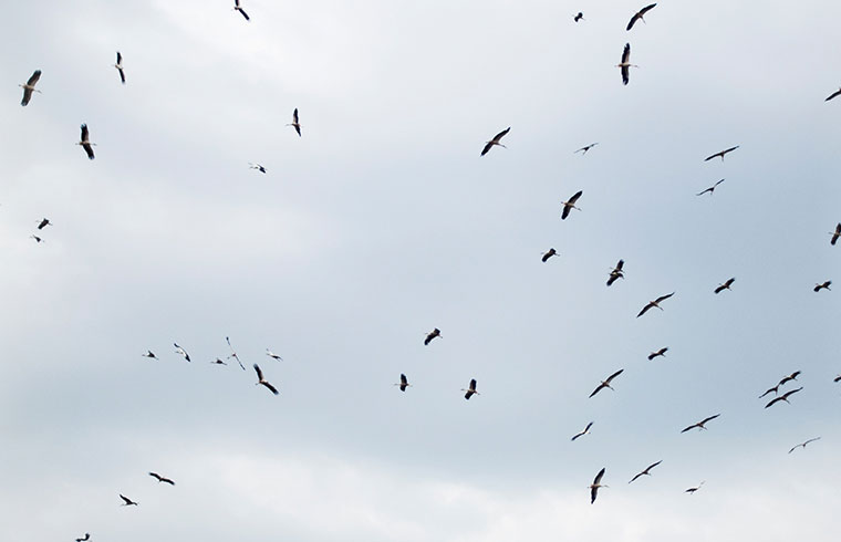 Act of God : êtes-vous assuré contre les catastrophes naturelles?