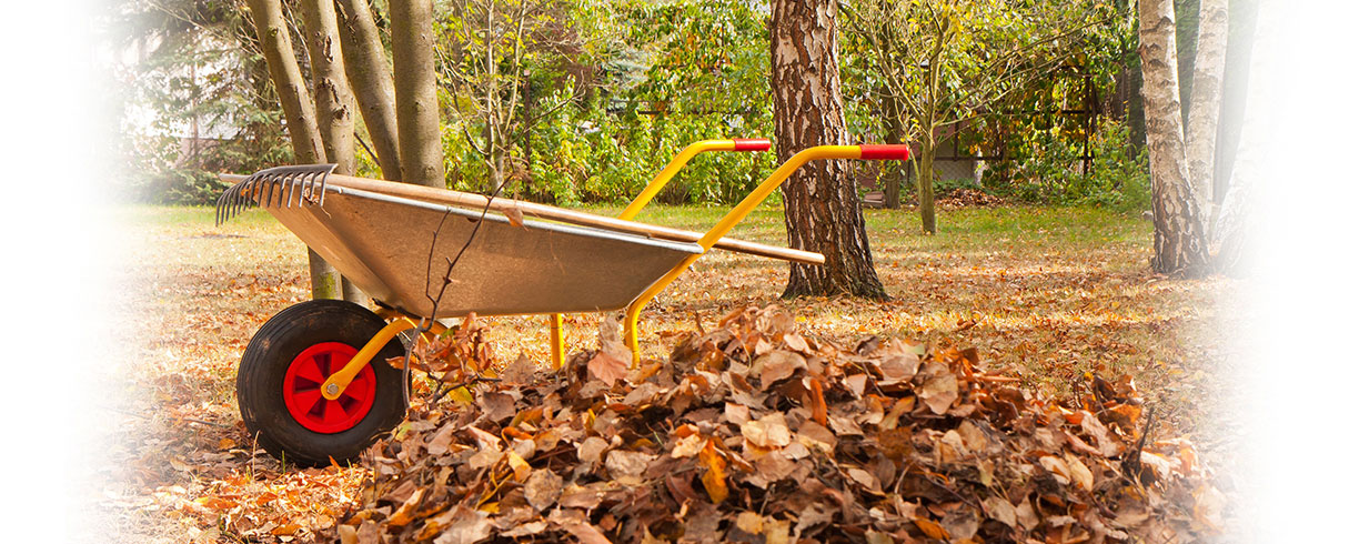 Entretien de la maison à l’automne pour se préparer à l’hiver