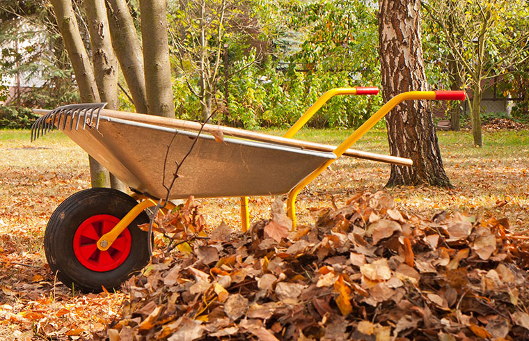 Entretien de la maison à l’automne pour se préparer à l’hiver